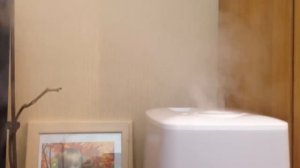 Увлажнитель воздуха или мойка воздуха. Какой выбрать для дома? ПЛЮСЫ И МИНУСЫ. Видео отзыв