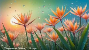 "Откровение Св. Иоанна..." / 16 ГЛАВА