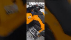 Стелс гепард, фары заднего хода.