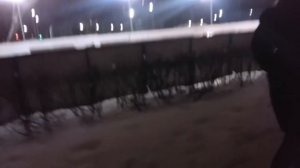 VLOG Гуляю с собакой, Снимаю видео | ВЛОГ мой день