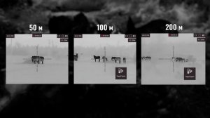 Arkon Alfa ST19 - самый бюджетный тепловизор для охоты