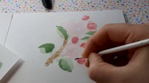 Акварель для начинающих.  Как нарисовать веточку цветущей ЯБЛОНИ