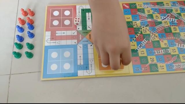 How to play Ludo game in English