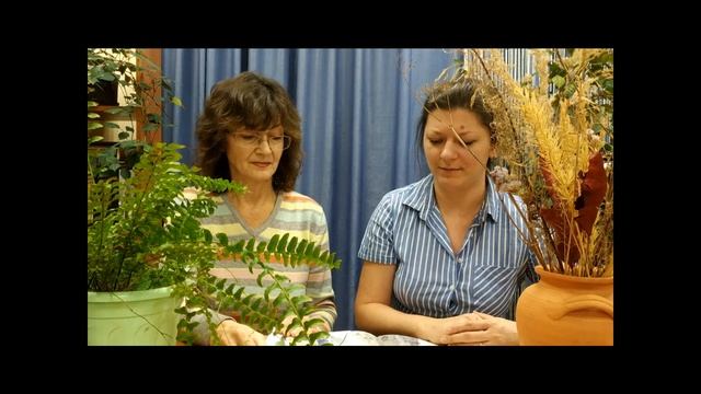 Онлайн-проект «Почитаем перед сном». Выпуск 4. «Почему лягушки поют» смотреть онлайн