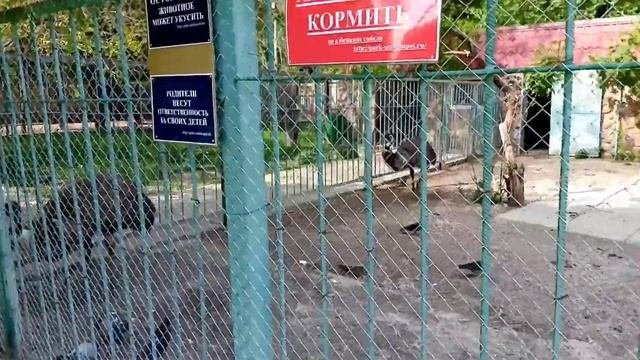 Симферополь Крым/Парк Тренева - ЗООПАРК - Детский Парк/отдых с детьми/часть 3
