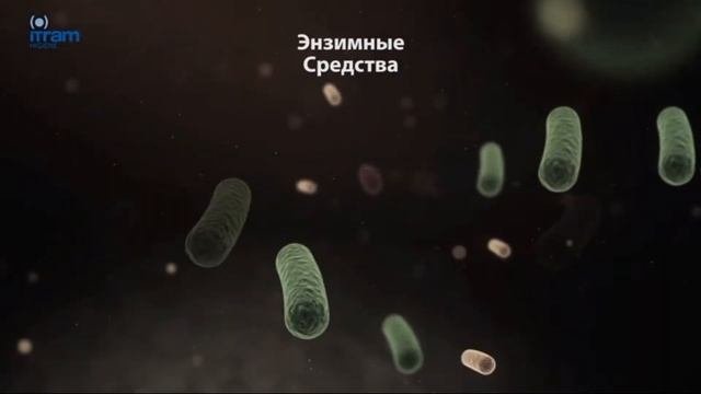 ЭНЗИМЫ РАЗРУШАЮТ МИКРОБНУЮ БИОПЛЁНКУ
