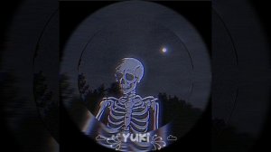 counting sheep - SAFIA (speed up)