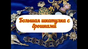 12. ШКАТУЛКА С БРОШКАМИ ИЗ США. ЗАГАДОЧНАЯ КРАСОТА