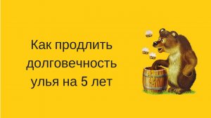 ДНО УЛЬЯ КАК ОБРАБАТЫВАТЬ / Как сохранить долговечность улья на 5 лет?