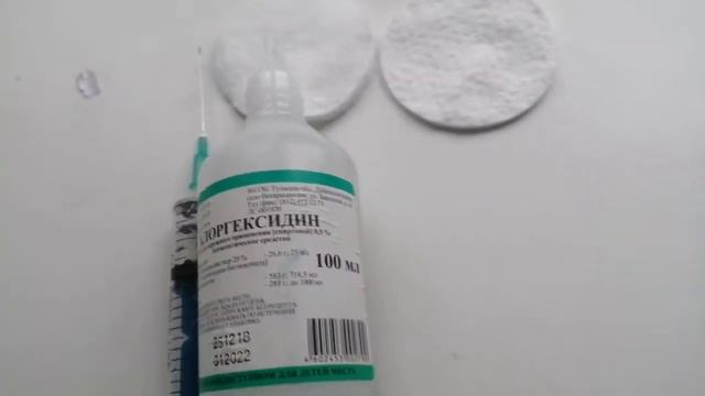 Как быстро прорастить семена//Легко и просто.