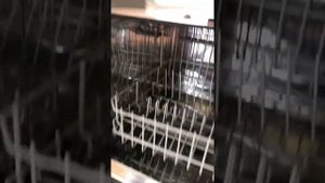 Настольная посудомоечная Bosch (Бош)