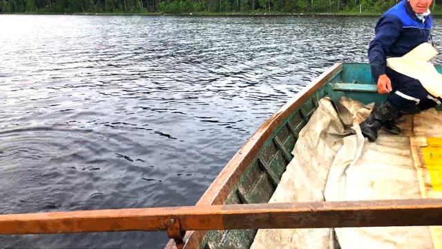 Промысловая рыбалка на Онежском озере