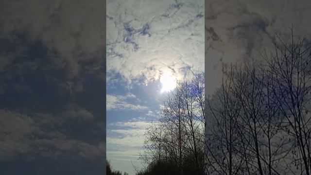 С Днем Весеннего Равноденствия, друзья!