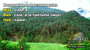 Урок 8. Склонение местоимений.