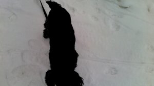 VID_20160209_135456.3gp