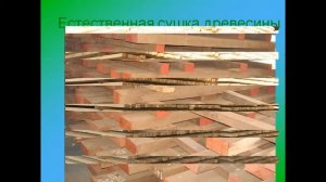 Физико механические свойства древесины