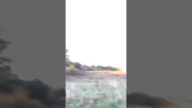 Yamaha YFM Raptor 90 in a field ?? смотреть онлайн