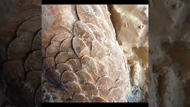 Резьба по дереву