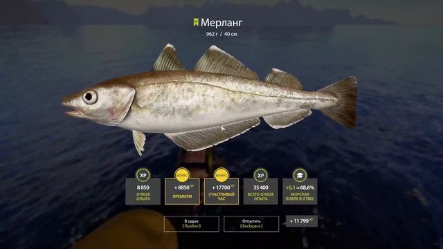 ПУТЕШЕСТВИЕ С АЛИСОЙ - Она нашла скатов #rf4 #русскаярыбалка4 #рр4 #норвежскоеморе смотреть онлайн