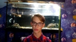 С кем содержать красноухих черепах? | Кого подселять? / ЧЕРИ TV