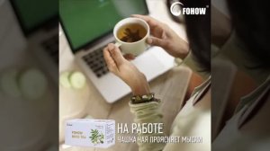 Чай Босс - белый чай Fohow. Помощь организму в каждом глотке.