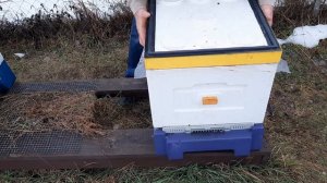 Осмотр пчел в декабре, убираем подмор, контроль кормов