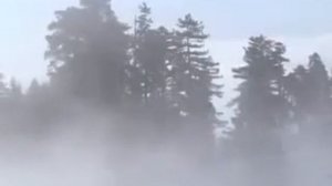 Курон Окиш