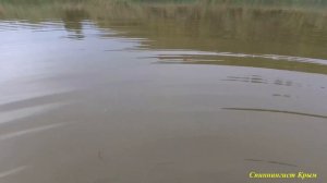 Крымский мормышинг. Нано отводной поводок.