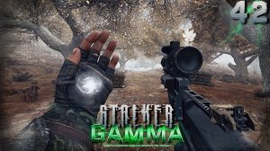 S.T.A.L.K.E.R.  Anomaly GAMMA (42) ► Полная гамма ощущений