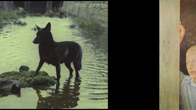 Рак - характеристика знака зодиака смотреть онлайн