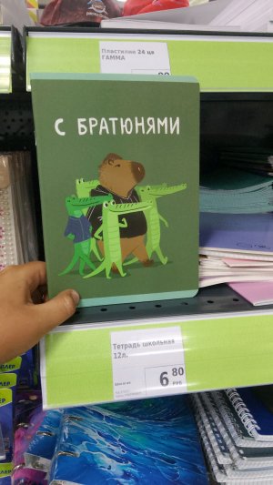 Играем в Darkwood.