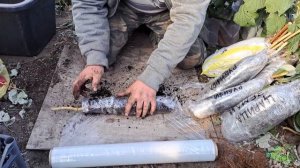 Упаковываем саженцы малины на хранение в зиму и для отправки клиентам.