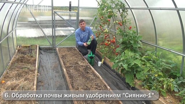 Сидераты и плодородие почвы в теплице смотреть онлайн