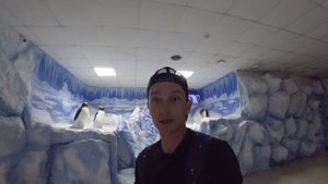 ДЖУБГА Краснодарский край развлечения. Архипо-Осиповка что посмотреть куда сходить самостоятельно.