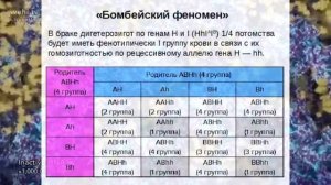 Группы крови и резус фактор #лекциимедицина #дистанционноеобучение #биологияегэ #среднеемедобраз