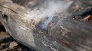 Последствия пожара в бухте Триозерье. Врангель, Находкинский район. Путешествия по Приморскому краю