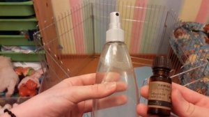 как обустроить место для собаки в доме?