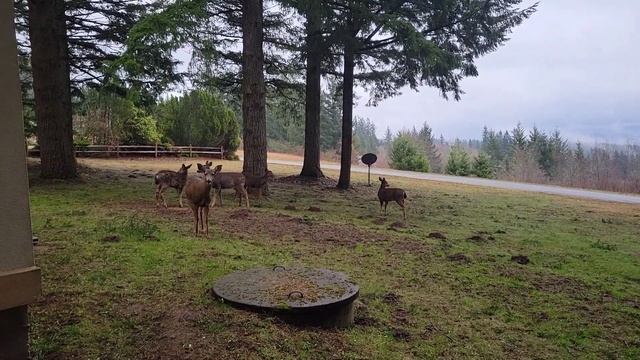 Моя работа в США ремонт дома под стако в небесах. смотреть онлайн