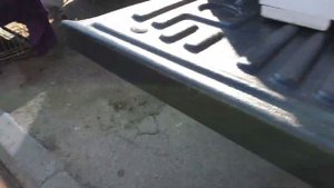 Собачий Рынок Одесса 2023 / Породы собак / Староконный рынок