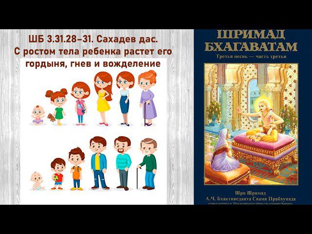 ШБ 3.31.28–31. Сахадев д. С ростом тела ребенка растет его гордыня, гнев и вожделение