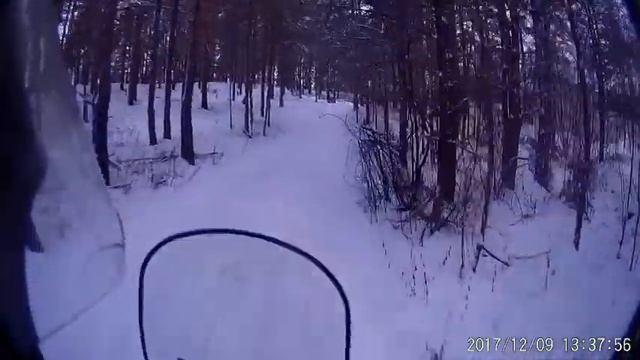 Обкатка снегохода Irbis Dingo T150 смотреть онлайн