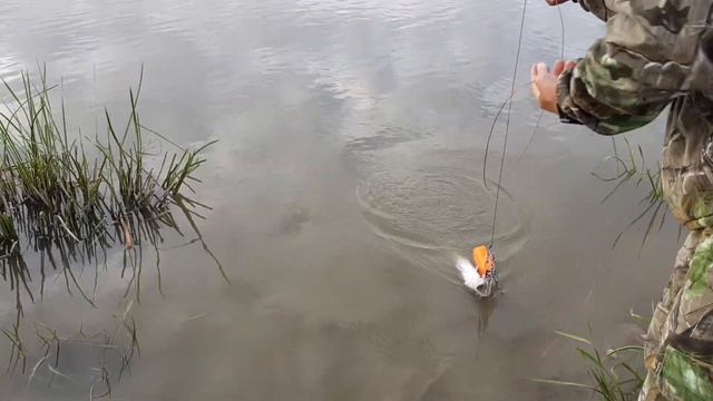 Уходящее лето! Душевная рыбалка с ночёвкой! смотреть онлайн