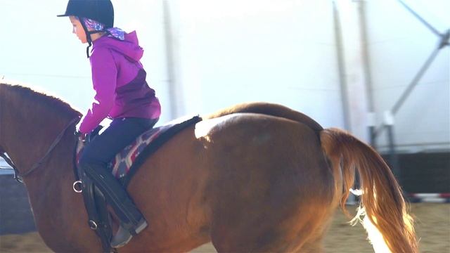 Занятия в конно-спортивном клубе ДГТУ «Ход конем»: Варвара Шадура