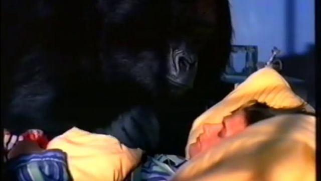 Reklama/Commercial/Werbung - Wella Design (1998) CZ смотреть онлайн