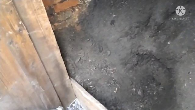 Жить становится ВЕСЕЛЕЕ смотреть онлайн