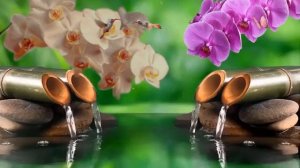 Музыка для медитации, флейта, дзен, японская, китайская, релакс музыка для духа