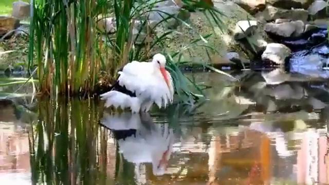 #ЧтениеКорана 
Очень Красивое чтение Корана