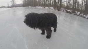 Танцы на льду (без пафоса)