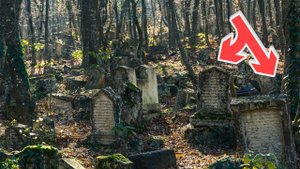 "Место тишины". Странный и мистический случай в лесу.