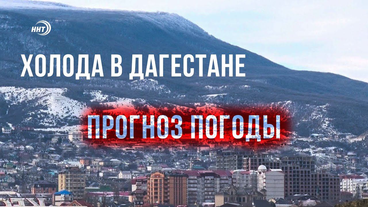 Погода в дагестане в марте 2025. Прогноз Дагестана. Дагестан погода. Погода Дагестан Махачкала. Дагестан погода сейчас